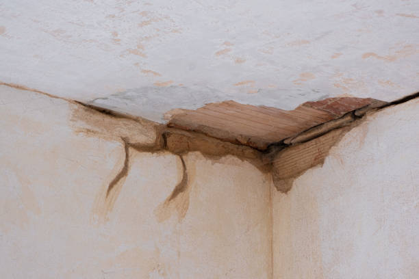 Best Professional water damage repair  in North Riverside, IL