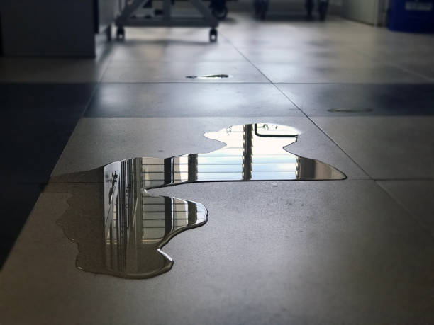 Best Commercial water damage restoration  in North Riverside, IL