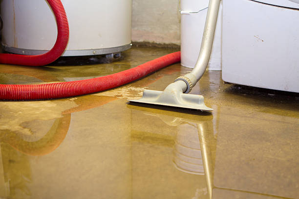 Best Flood damage cleanup  in North Riverside, IL