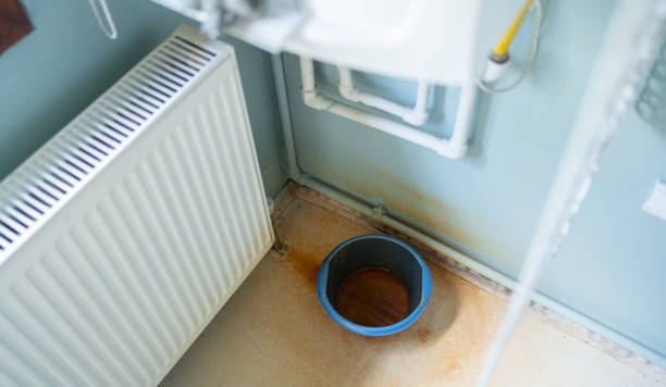 Best Flooded house restoration  in North Riverside, IL