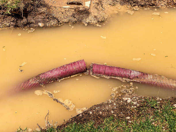 Best Water damage restoration near me  in North Riverside, IL